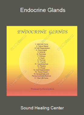 Sound Healing Center - Endocrine Glands