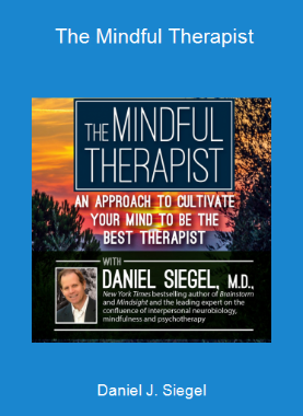 Daniel J. Siegel - The Mindful Therapist