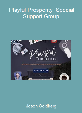 Jason Goldberg - Playful Prosperity - Special Support Group