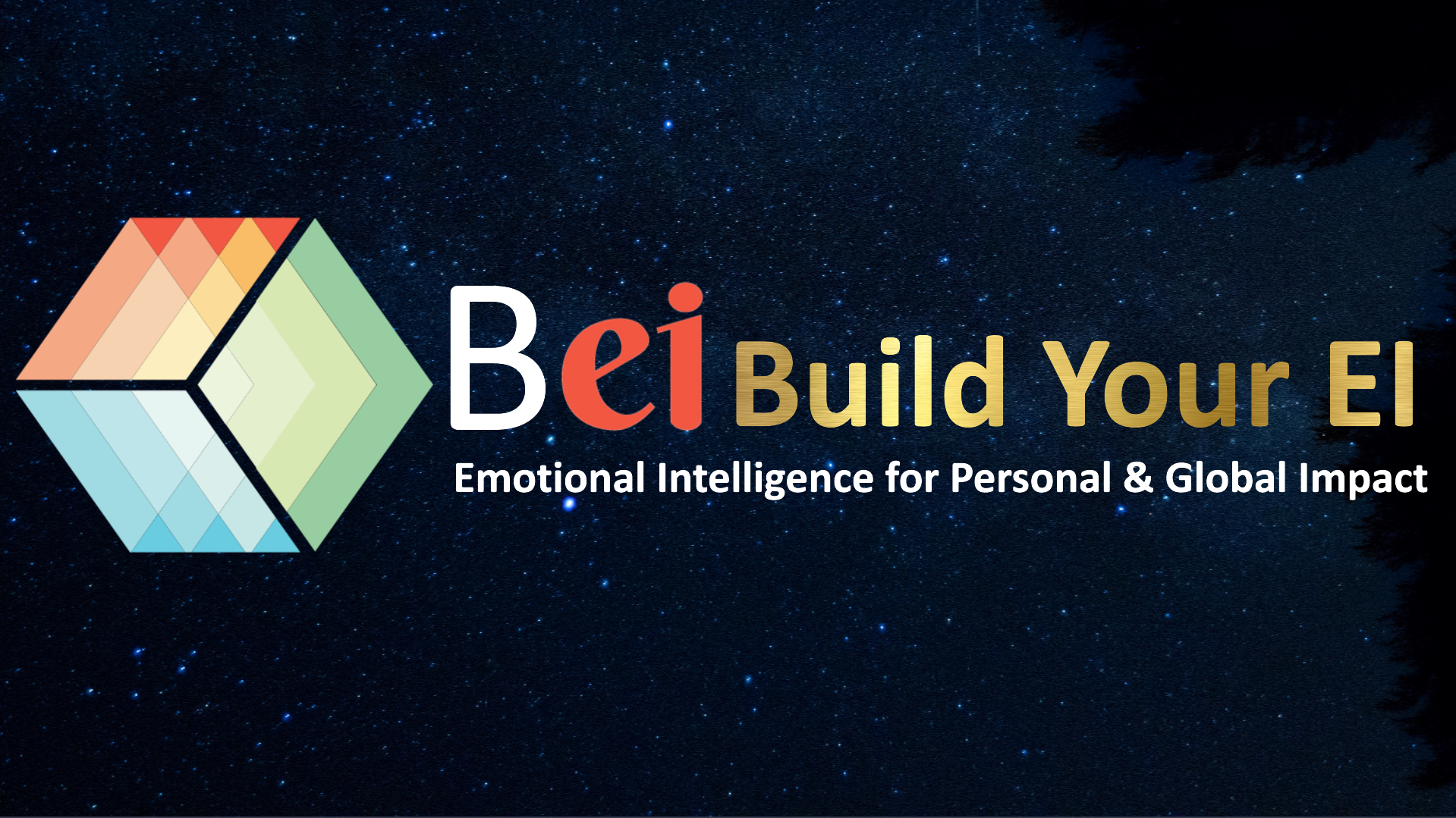 Course Bundle - Building and Leading with EI