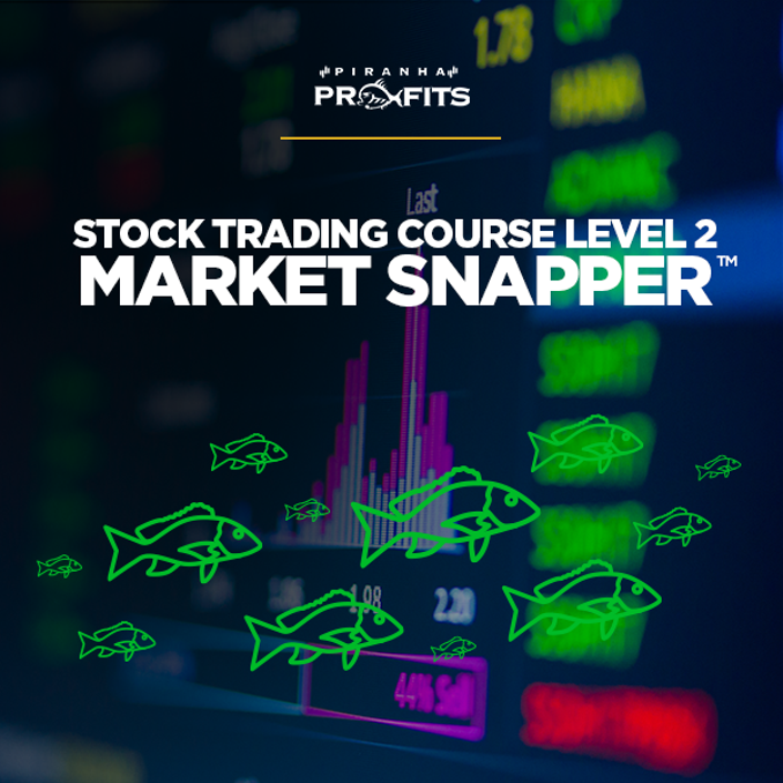 Adam Khoo - Stock Trading Course Level 2 Market Snapper 2021