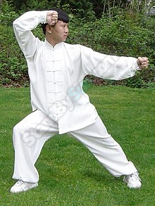 Image result for Ma Hong - Chen Style Tai Chi The Secret of Jin Release (2009)