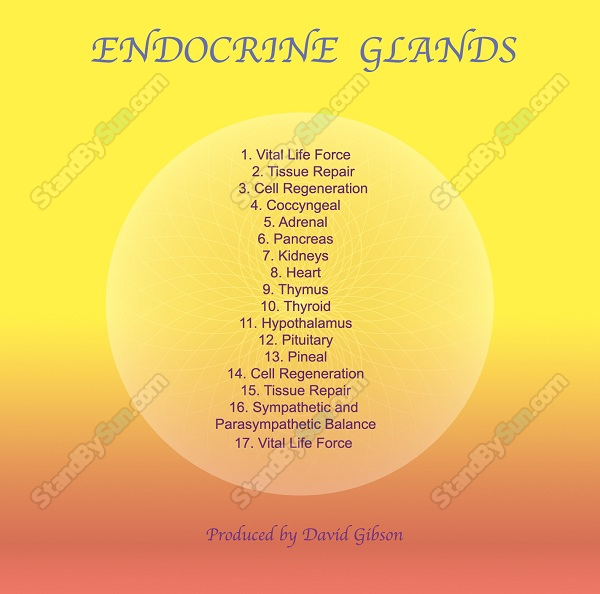 Sound Healing Center - Endocrine Glands