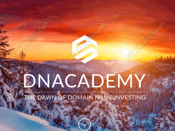 Michael Cyger - DNAcademy Domain Name Investing: Learn How to Buy and Sell Domain Names