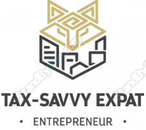 Stewart Patton - Tax Savvy US Expat Entrepreneur