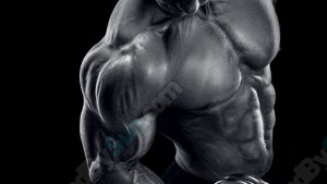 Christian Thibaudeau - Maximum muscle mass program