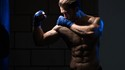 Warrior Fit - Animalistic Strength & Power In Just 8 Weeks