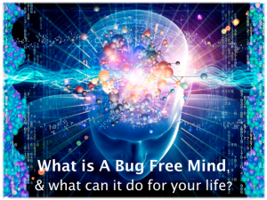 A Bug Free Mind - Andy Shaw