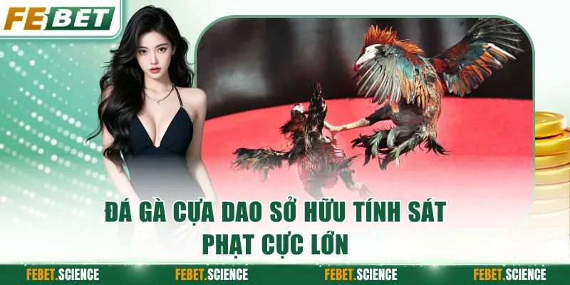 Đá gà cựa dao sở hữu tính sát phạt cực lớn