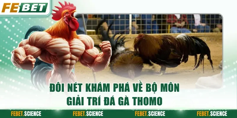 Đôi nét khám phá về bộ môn giải trí đá gà Thomo