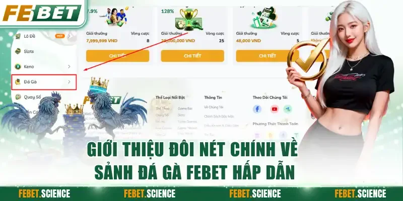 Giới thiệu đôi nét chính về sảnh đá gà FEBET hấp dẫn