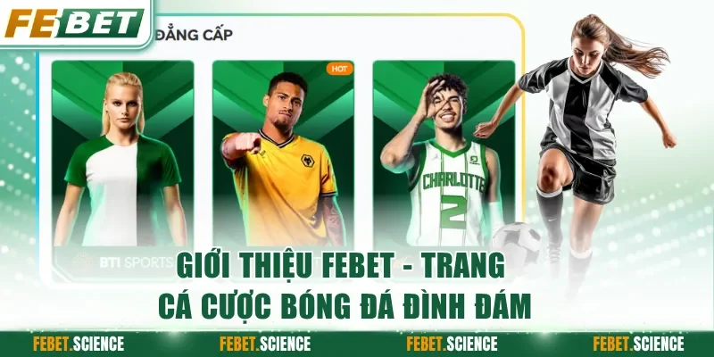 Giới thiệu FEBET  về 5 danh mục giải trí hot hit nhất