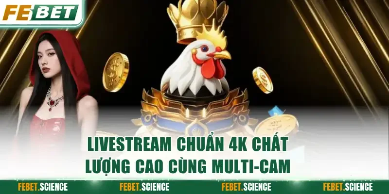 Livestream chuẩn 4K chất lượng cao cùng multi-cam